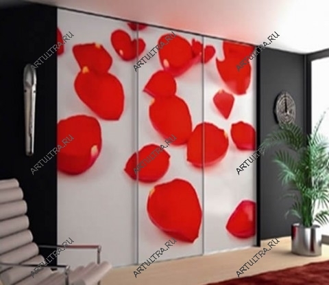 Фотопечать на фасаде шкафа купе